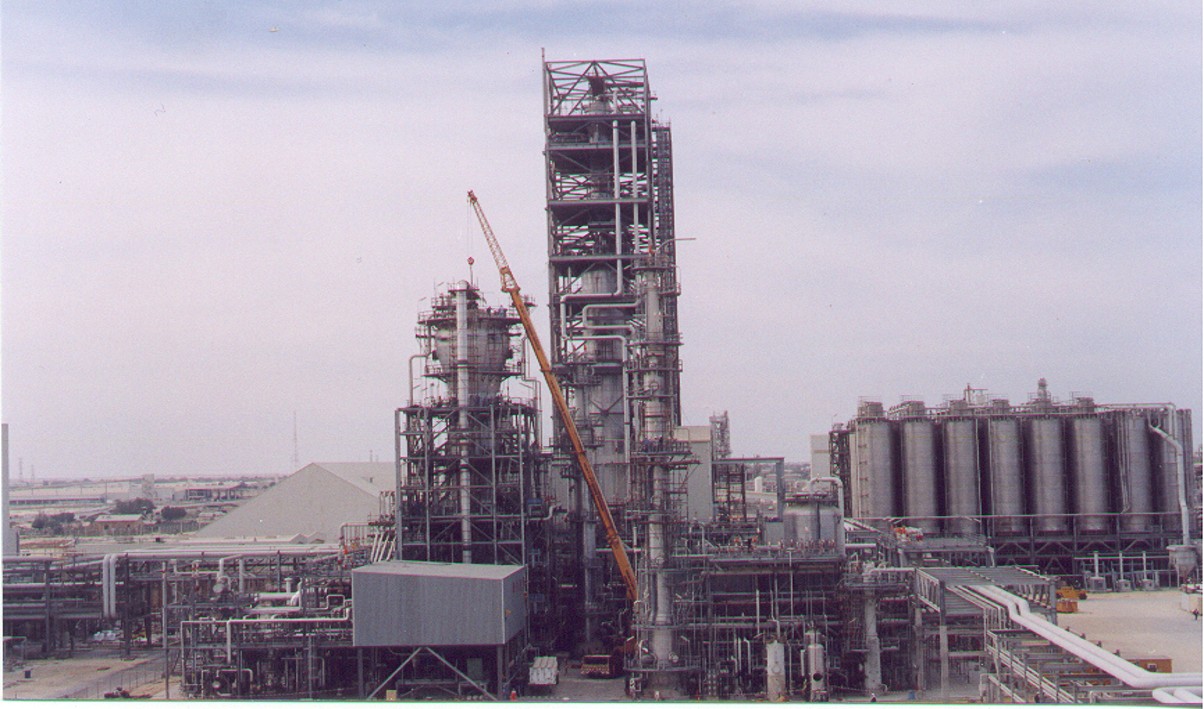 Ibn Zahr Plant